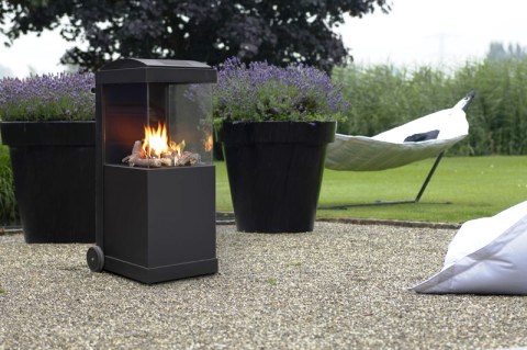 Faber The Buzz_0 Faber The Buzz_0