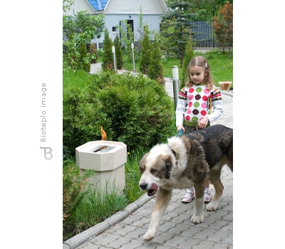 Bioteplo Stump малый_4 Bioteplo Stump малый_4