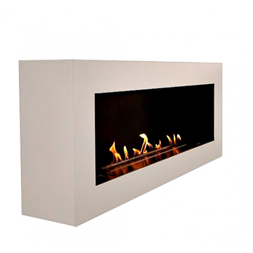 FireBird Pegas-100_1 FireBird Pegas-100_1