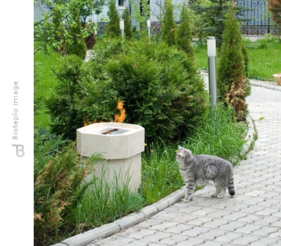 Bioteplo Stump малый_6 Bioteplo Stump малый_6