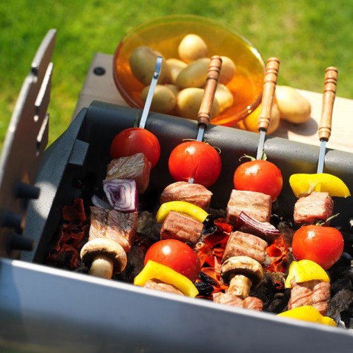 Барбекю Invicta Managua_1 Барбекю Invicta Managua_1