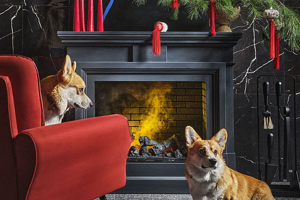 Dimplex Coventry очаг Symphony 26 DF2608-INT серый_4 Dimplex Coventry очаг Symphony 26 DF2608-INT серый_4