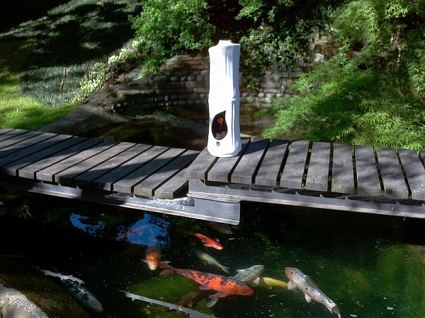 RG di Romagnioli e Giardini Bamboo_2 RG di Romagnioli e Giardini Bamboo_2