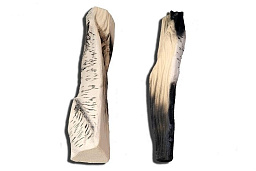 Керамические дрова для биокамина  Дрова BioKer BLANCO береза 2шт  Дрова BioKer BLANCO береза 2шт