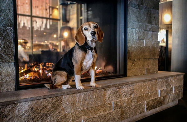 Vero Design Gala GA 70 D_2 Vero Design Gala GA 70 D_2