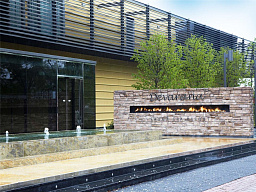 Газовый камин Boley 2600S Boley 2600S