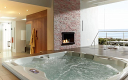 Встраиваемый биокамин Spartherm Ebios-fire 1V чёрный Spartherm Ebios-fire 1V чёрный