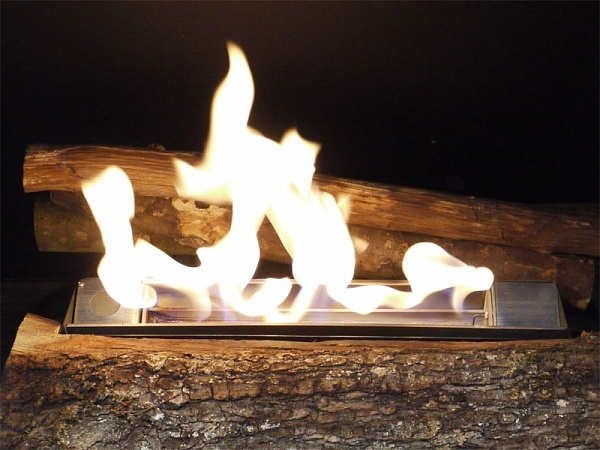 Chateau de Changy Fer Noir_2 Chateau de Changy Fer Noir_2