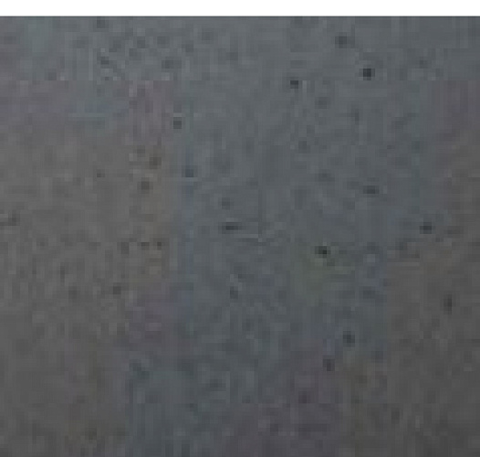 Schmid s2 отполированный бетон_1 Schmid s2 отполированный бетон_1